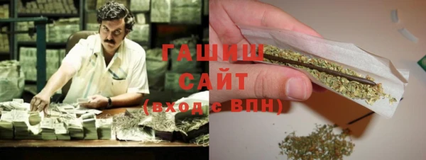 ECSTASY Алзамай