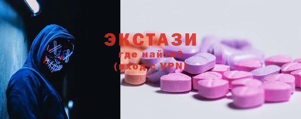 ECSTASY Алзамай