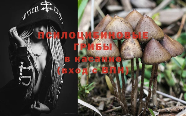 эйфоретик Алексин
