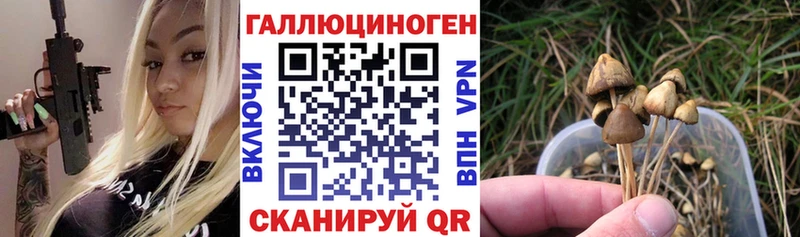 Галлюциногенные грибы Magic Shrooms  Борзя 